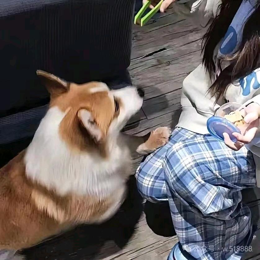 词清