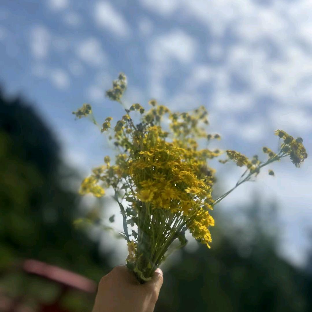 烦了