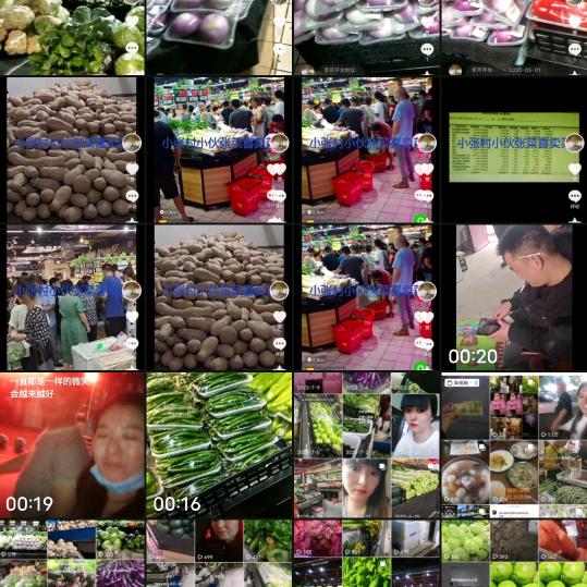 涡阳高炉林场李勤勤