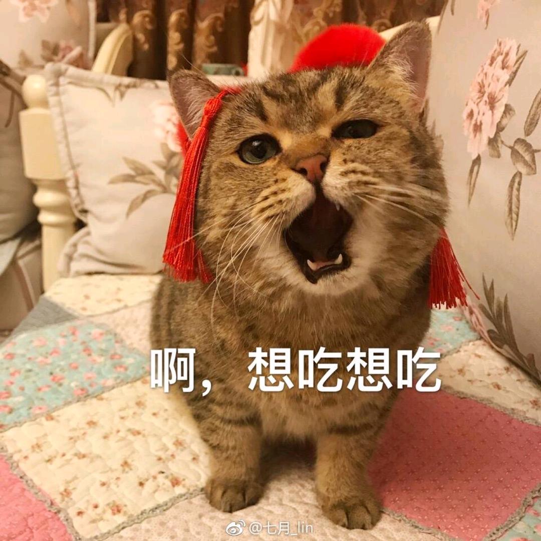 子不语听书