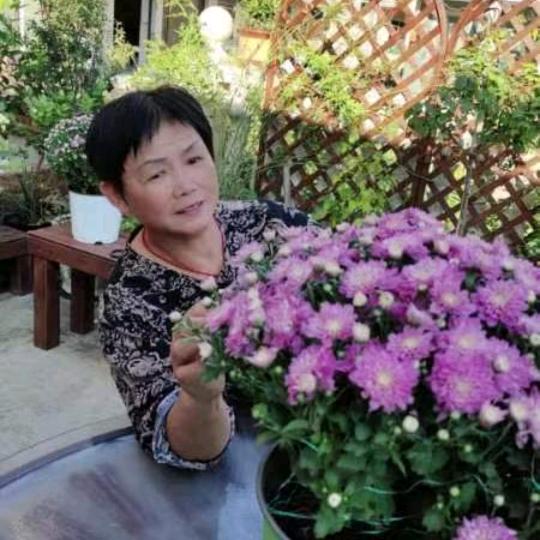 二月兰花开