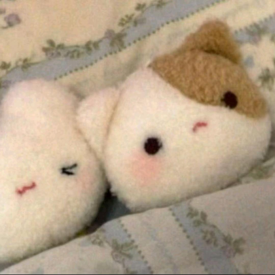 ՞⸝⸝'ᜊ'⸝⸝՞