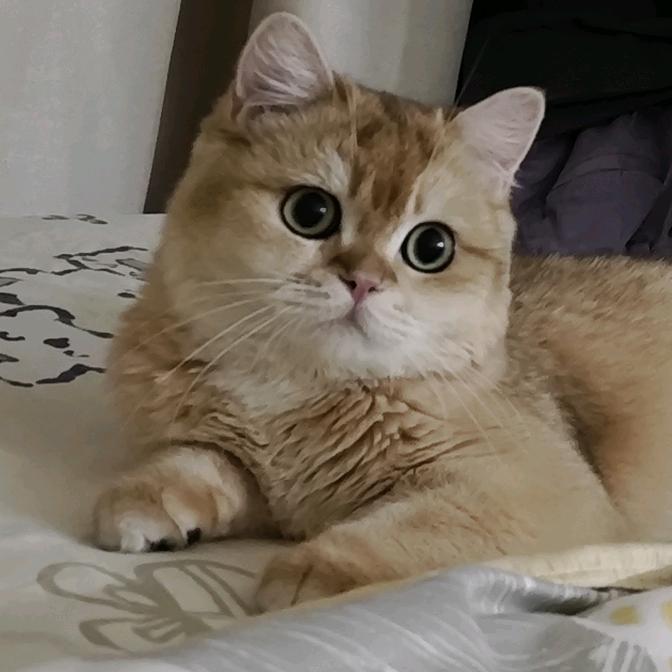 啊啾啾啾啾