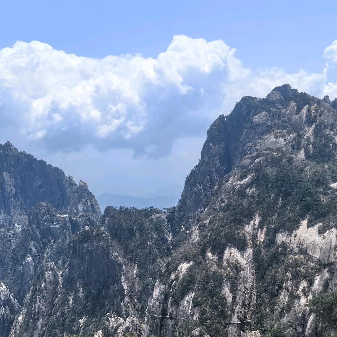 利蔓公益董小姐