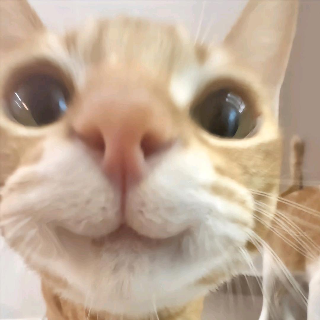 Y:）