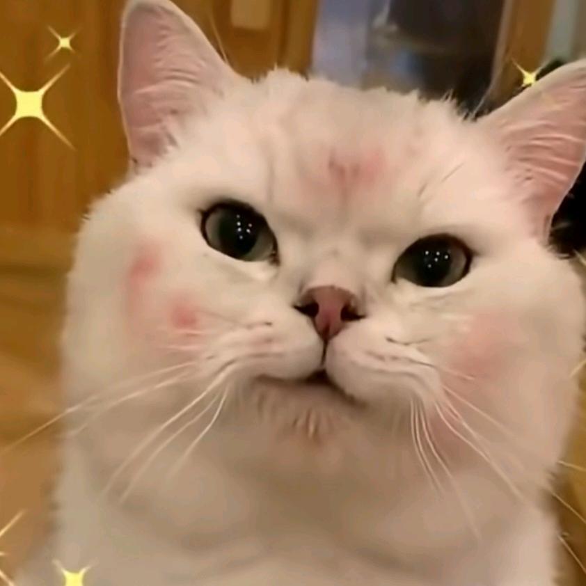 红橙