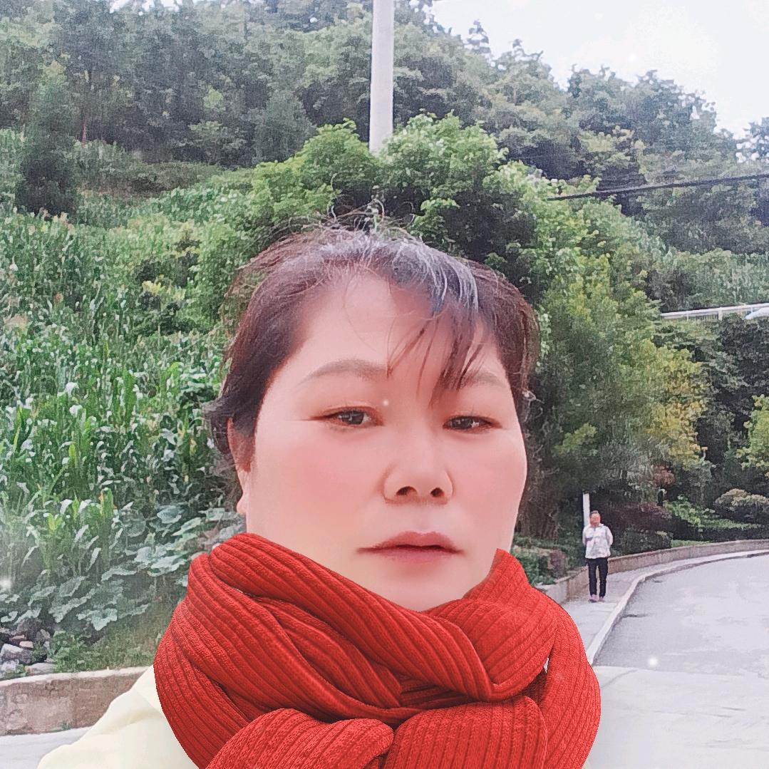 消失的她