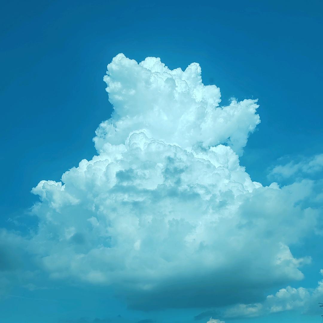 天涯何处无芳草