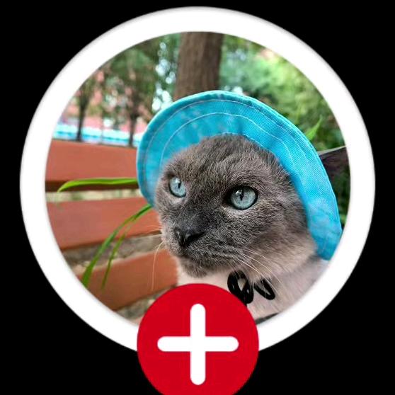 猫儿多多文咖
