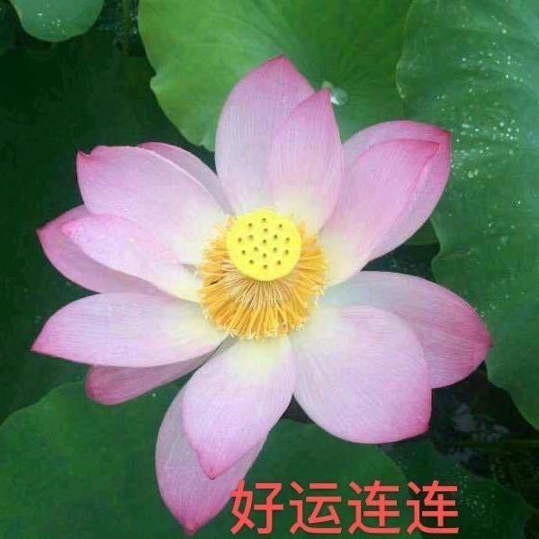清 儿 《拒私聊》