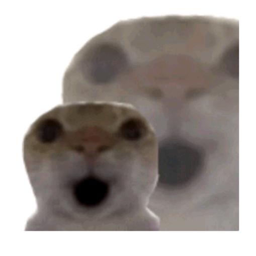 泡泡瘦猫头像