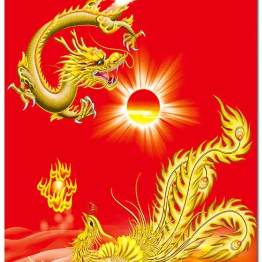 杨金龙