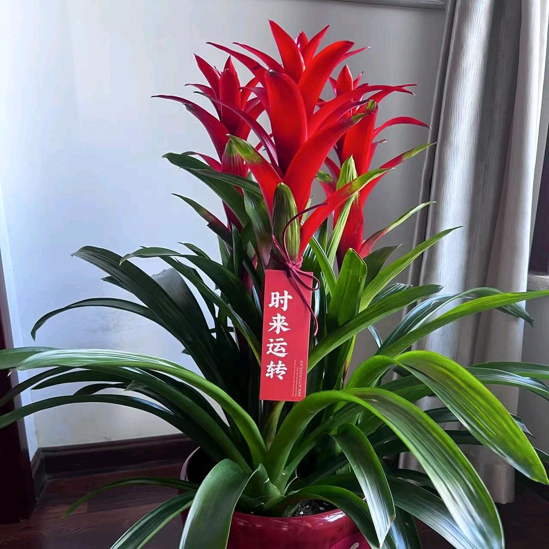 稳稳的超