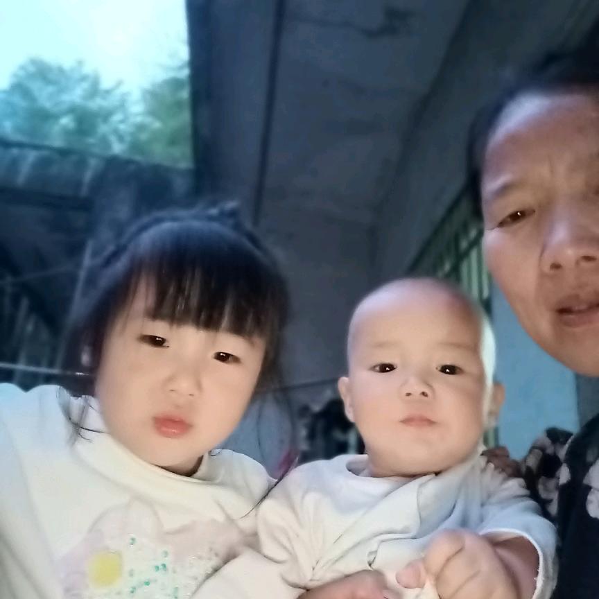 老朝
