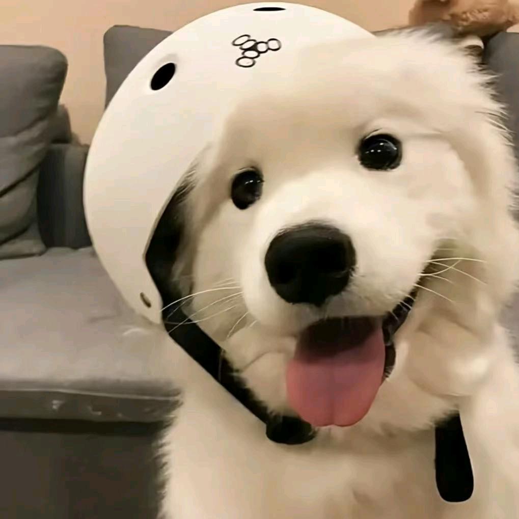 来杯奶茶安慰下