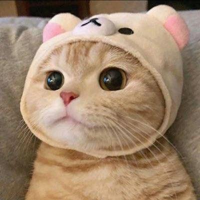 茂伟良