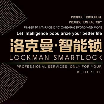 在罗源卖洛克曼智能锁
