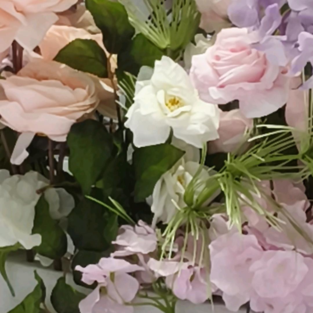 绽放的薰衣草TZ