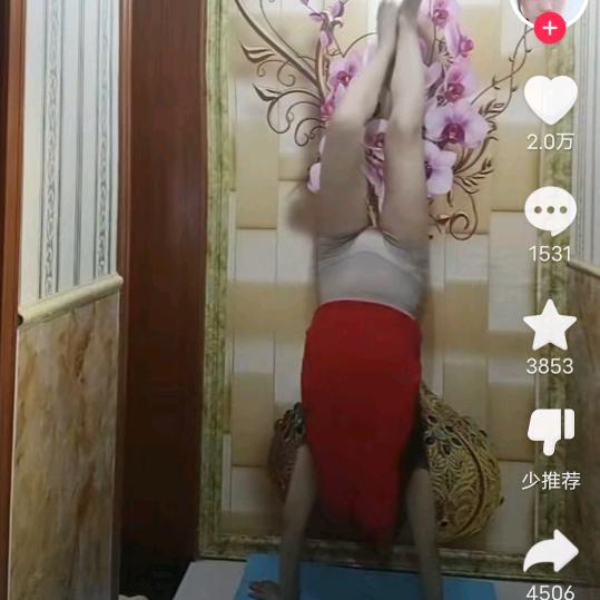 老叶