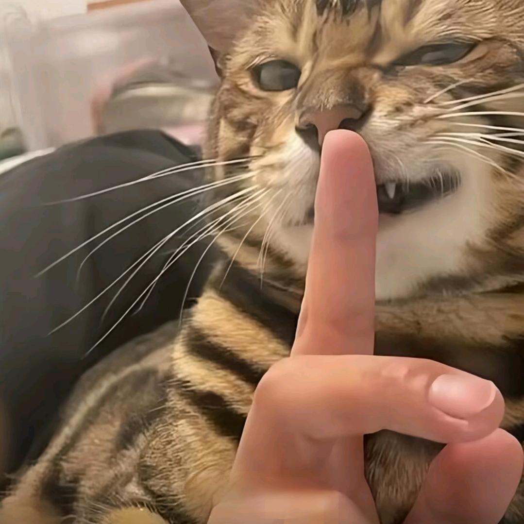 篮子娱乐