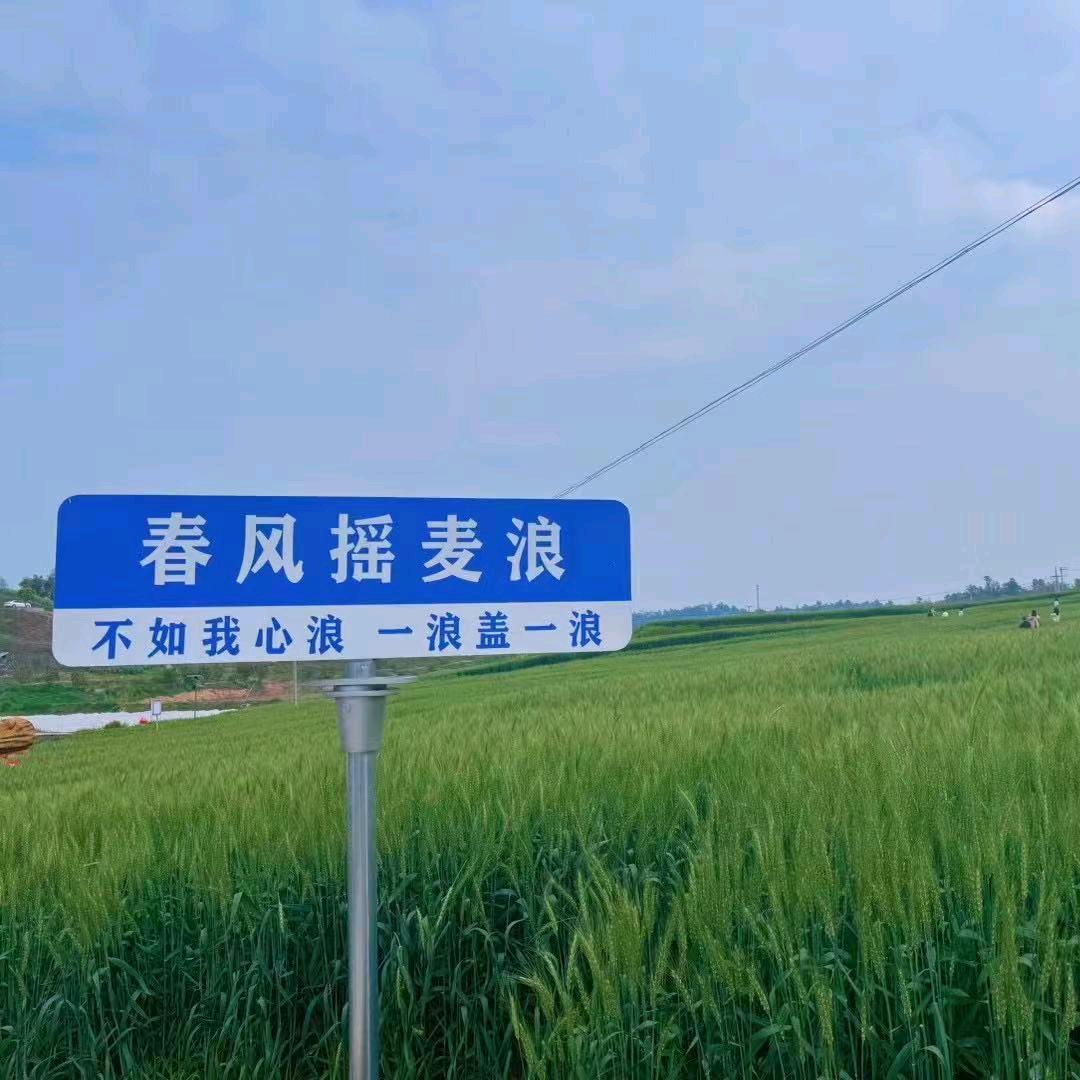 @伏魔⭕