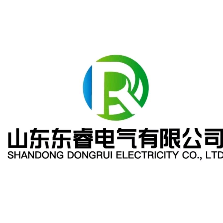 山东东睿电气