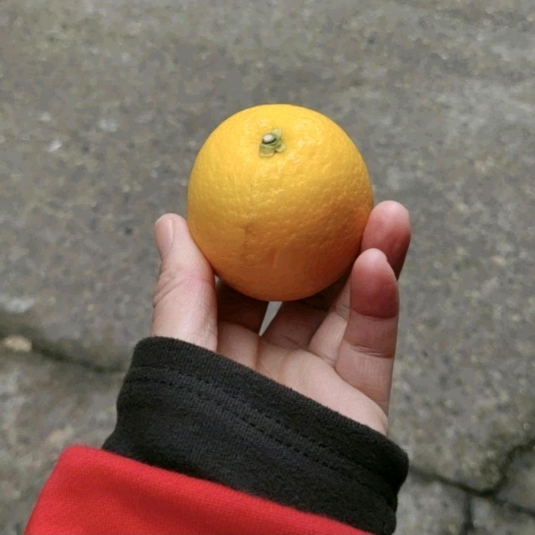 An  an