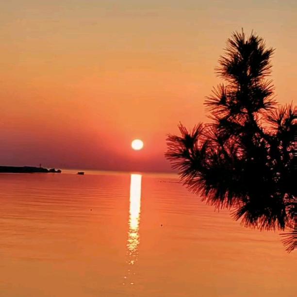 言🈚声（拒加群）