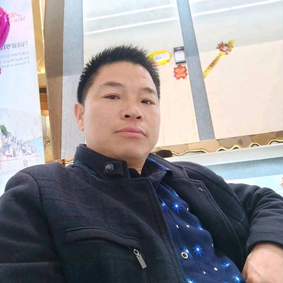 龙在飞