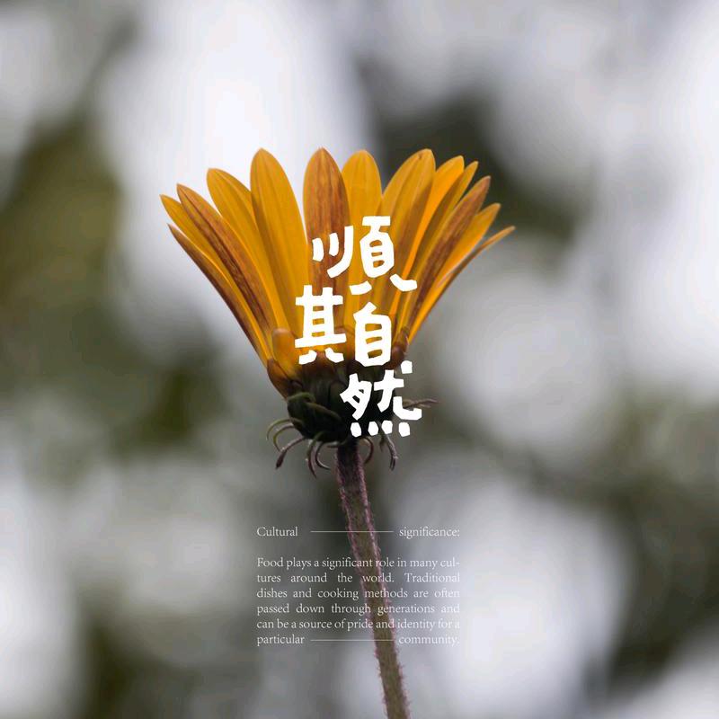 顺其自然