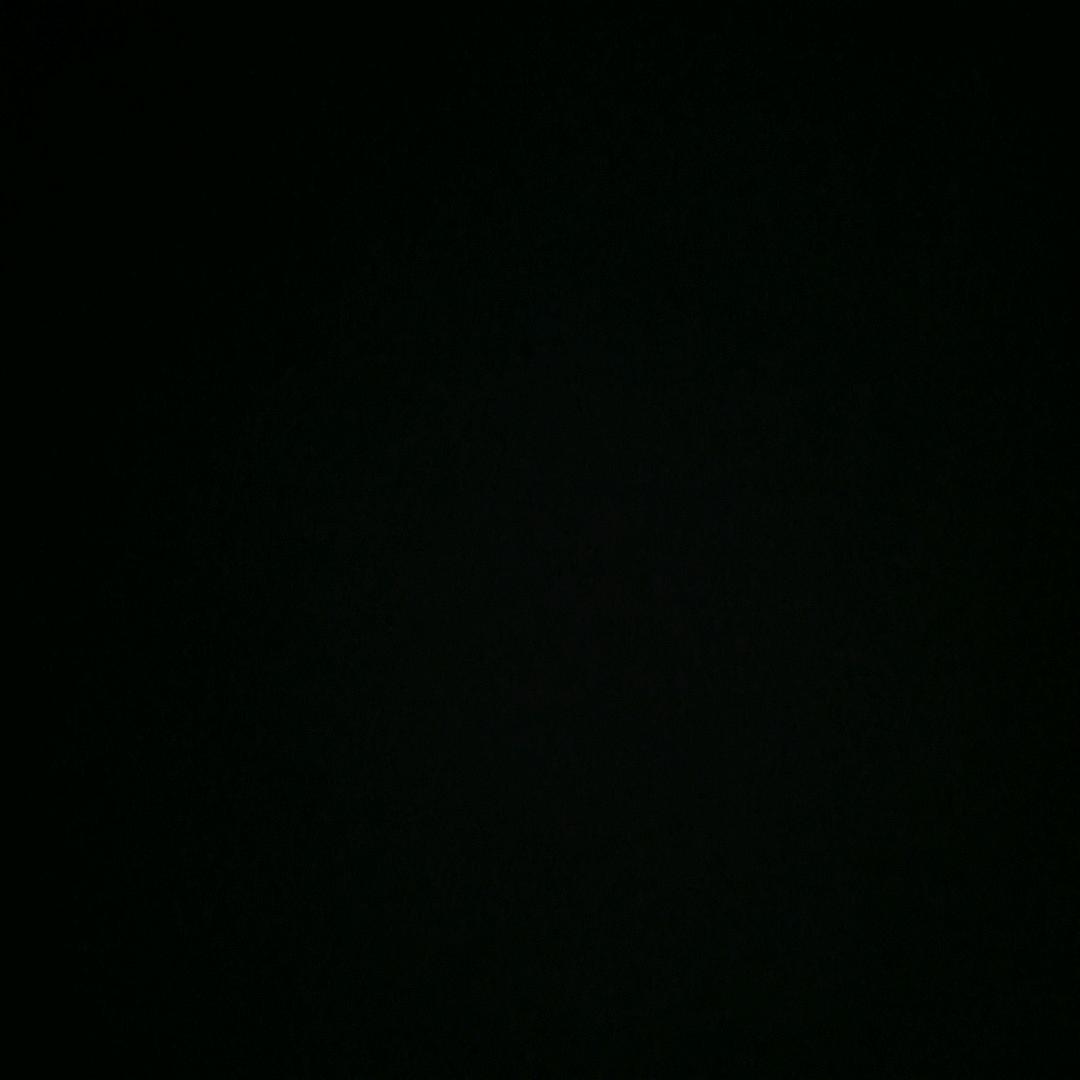 不吃榴莲的崽崽