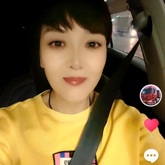 元氏二手车半挂燕子