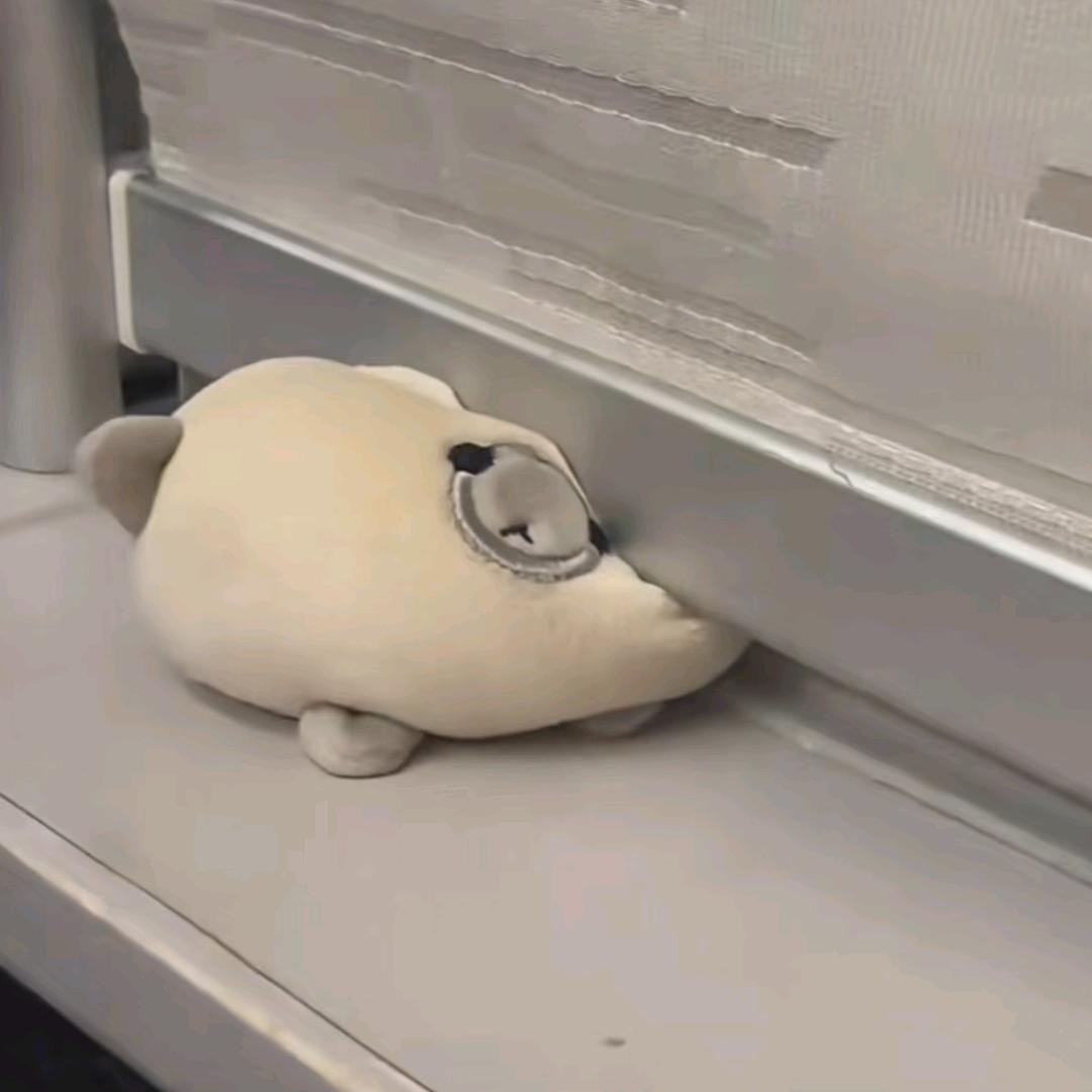 小滕同学