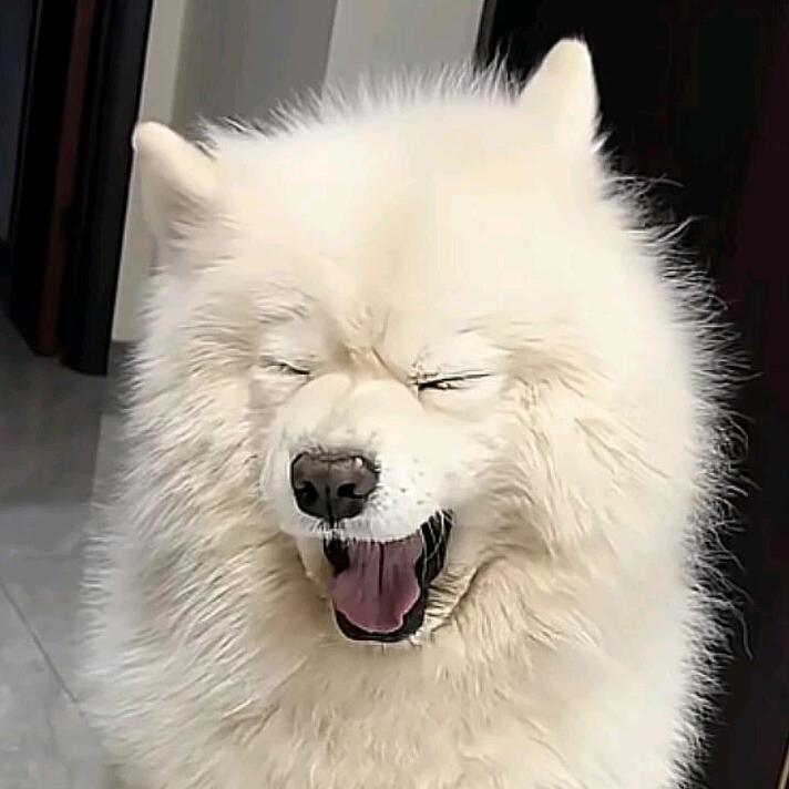 铭