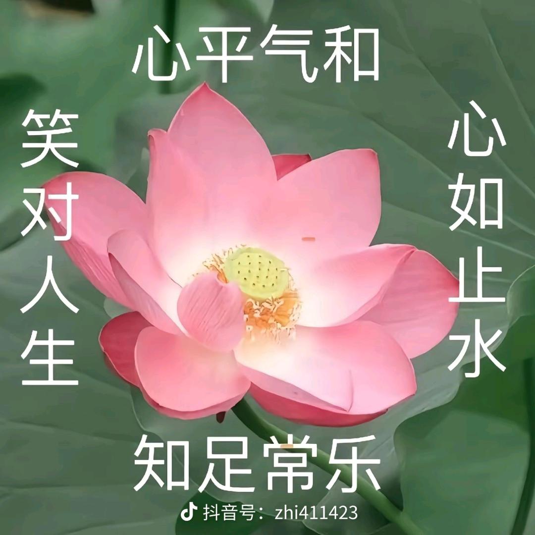 🌹翁大姐🌹