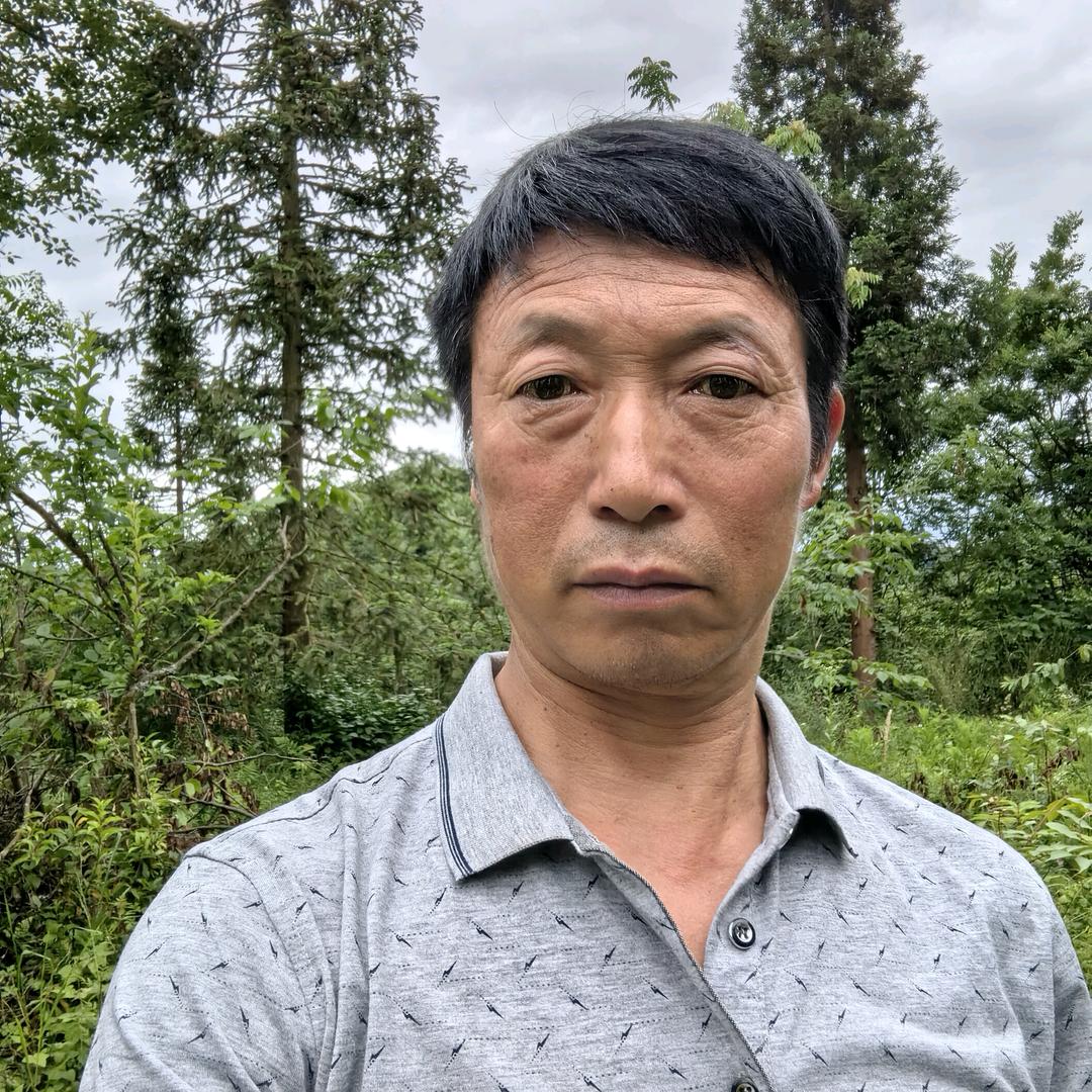 全哥