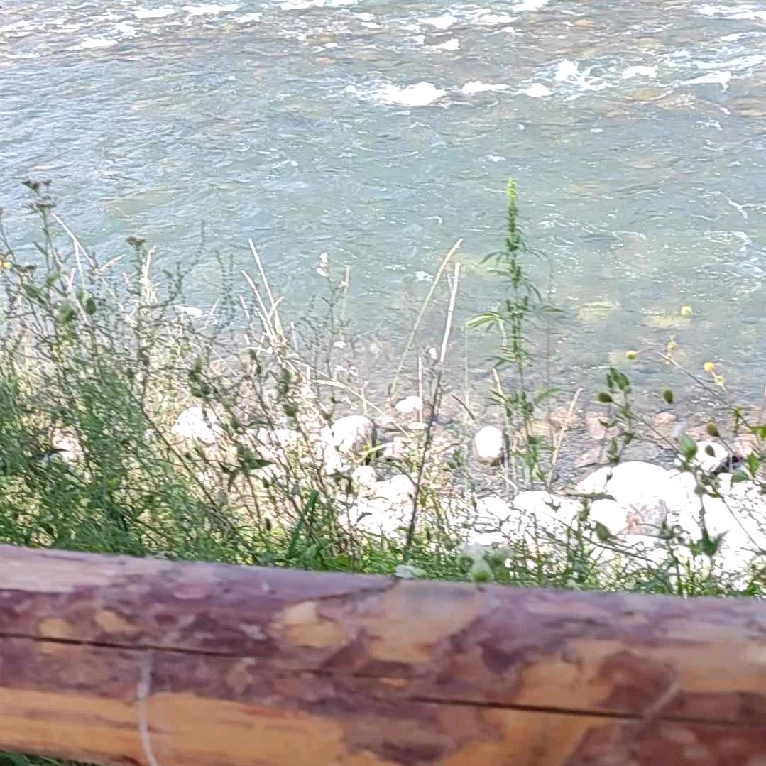 新疆林林水果零售店