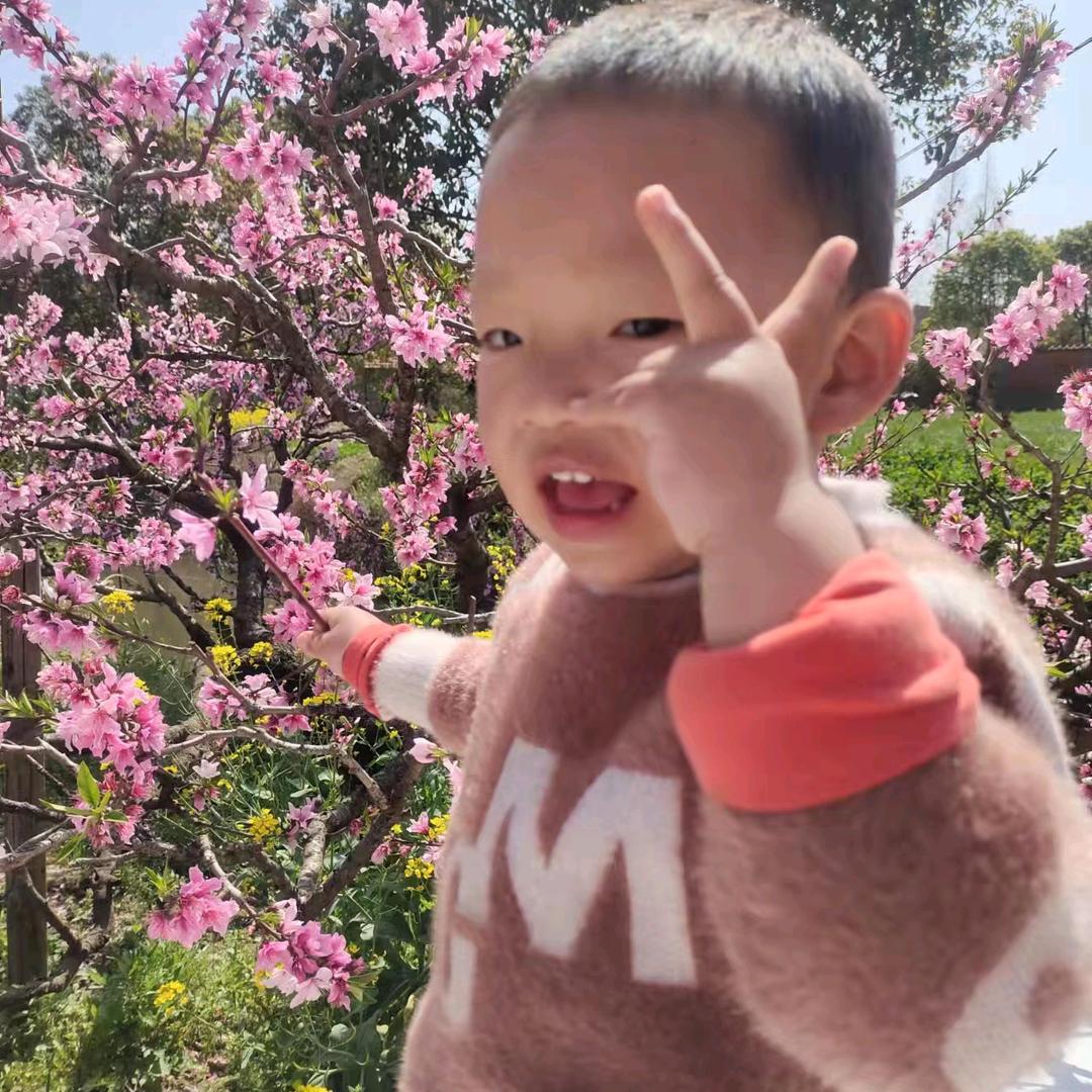 皓野野生茶+地面工程彭善珠