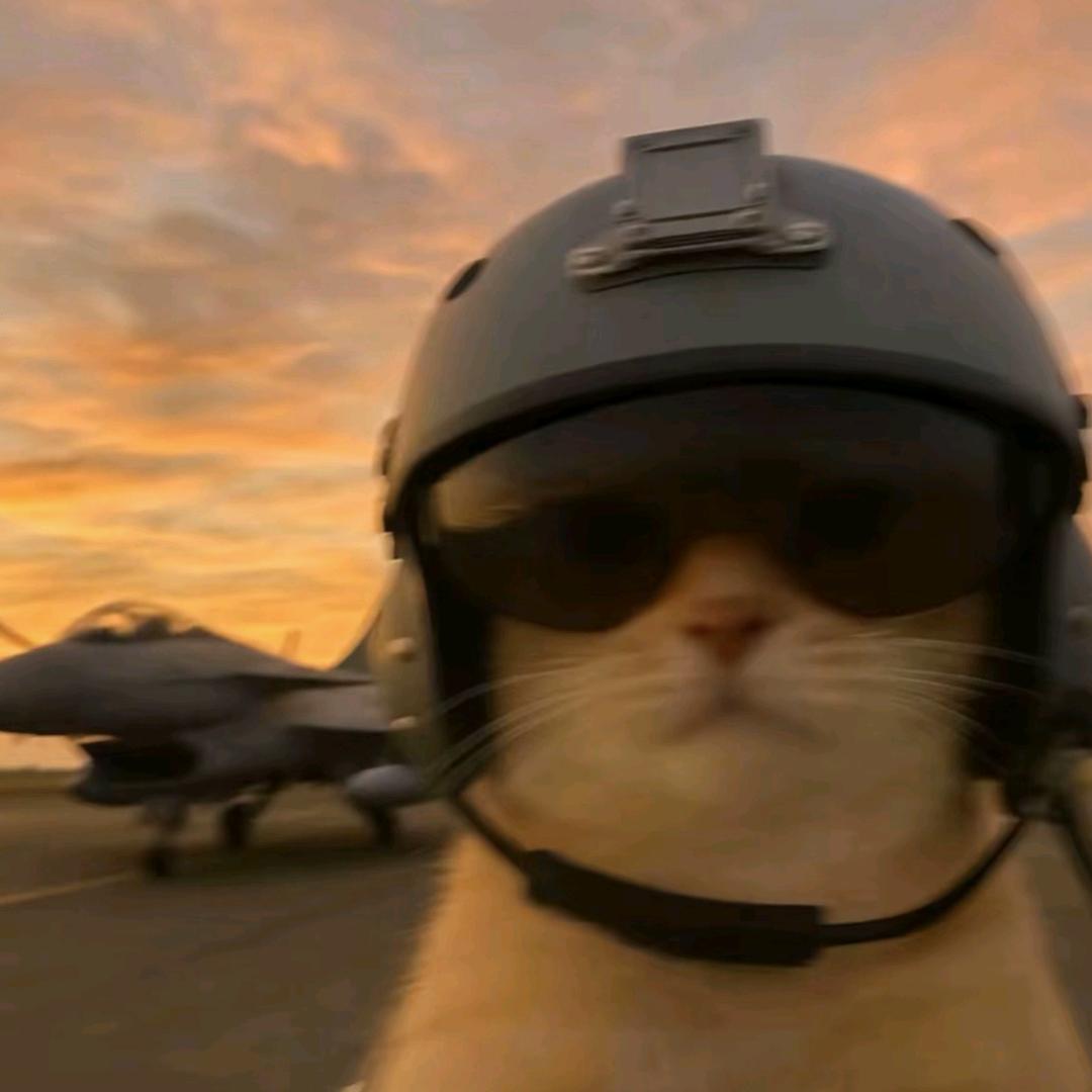 Hq（三角洲行动）