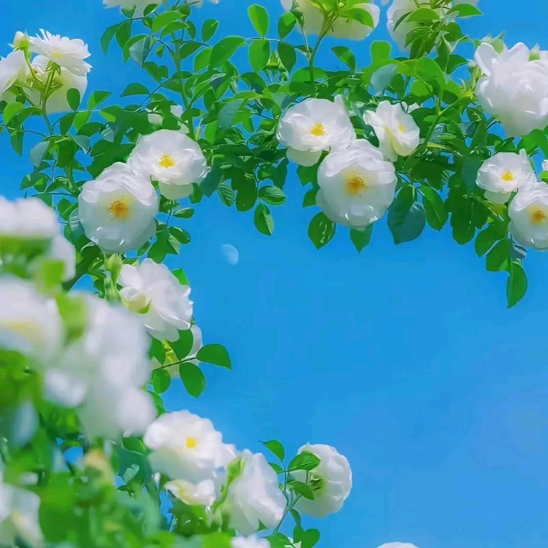 小慧优选¹⁷⁸