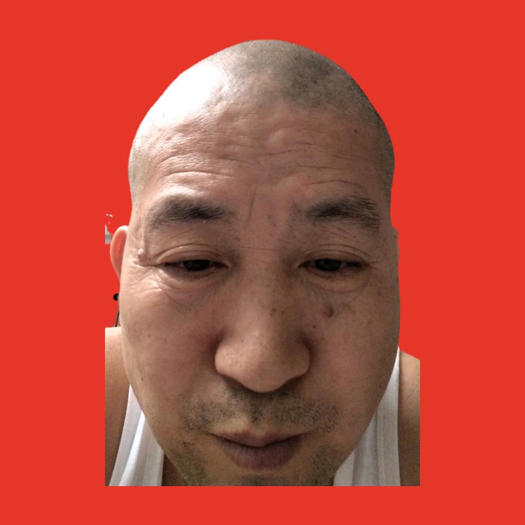 北方的狼。