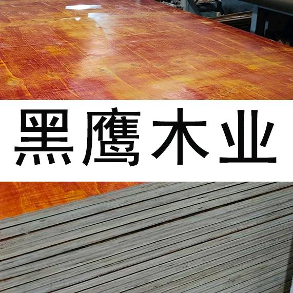 广西建筑模板～黑鹰木业