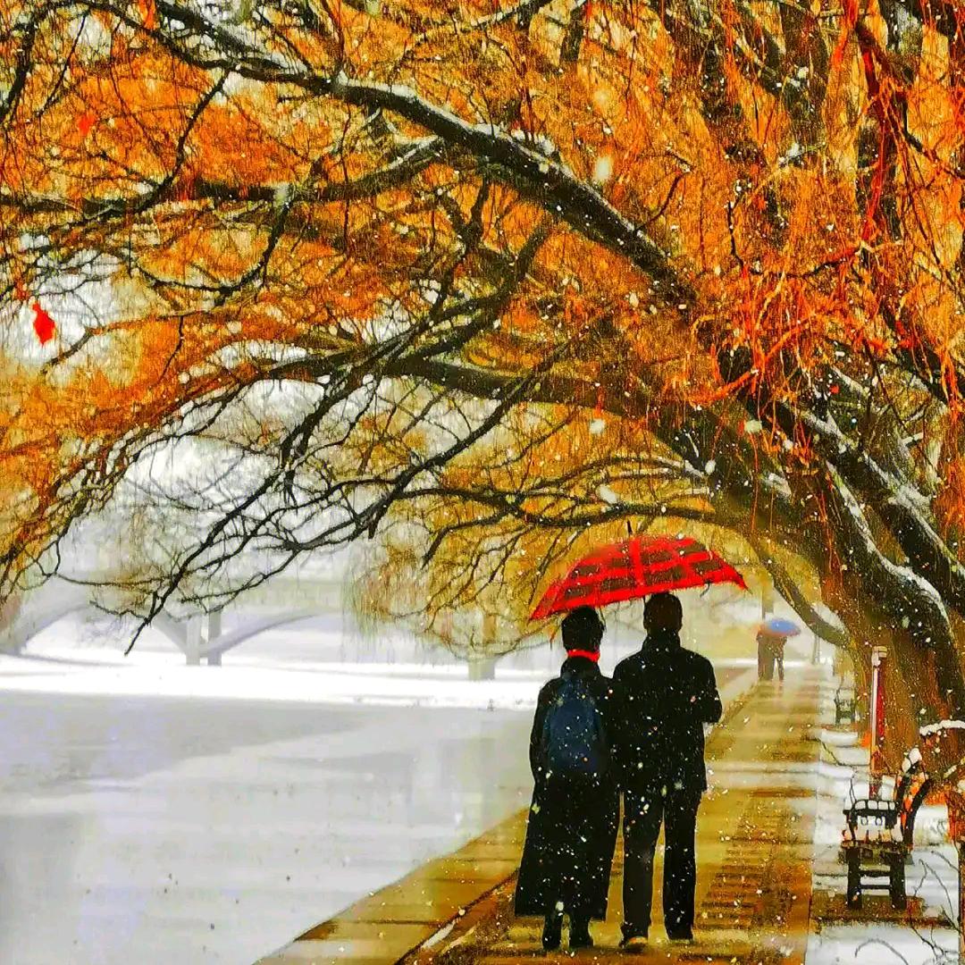 雨雪云尘🎵