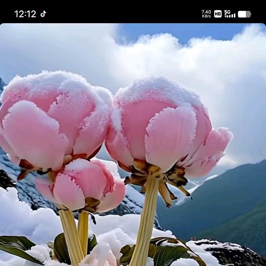 高枕无忧《花木兰战鼓队》