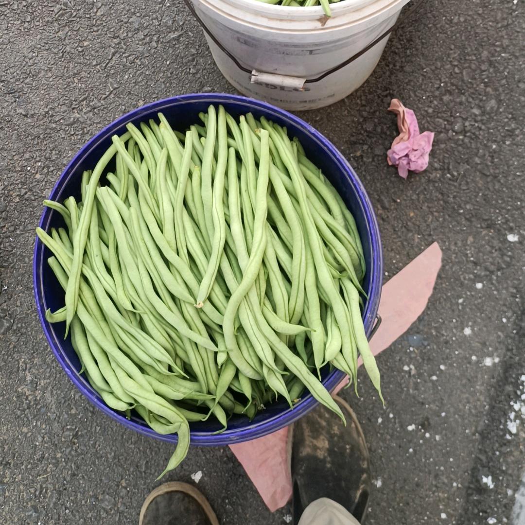 前西掌
