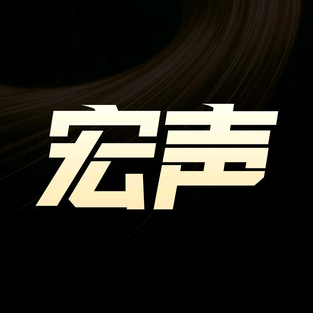 宏声电子工厂店