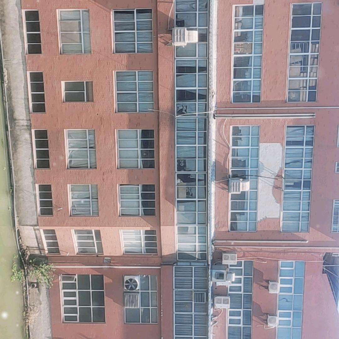 理不清，道不明