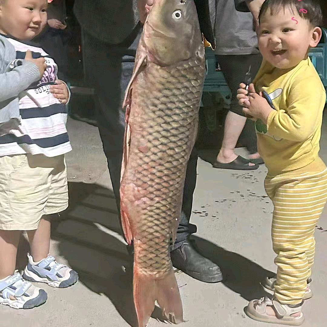 隆源