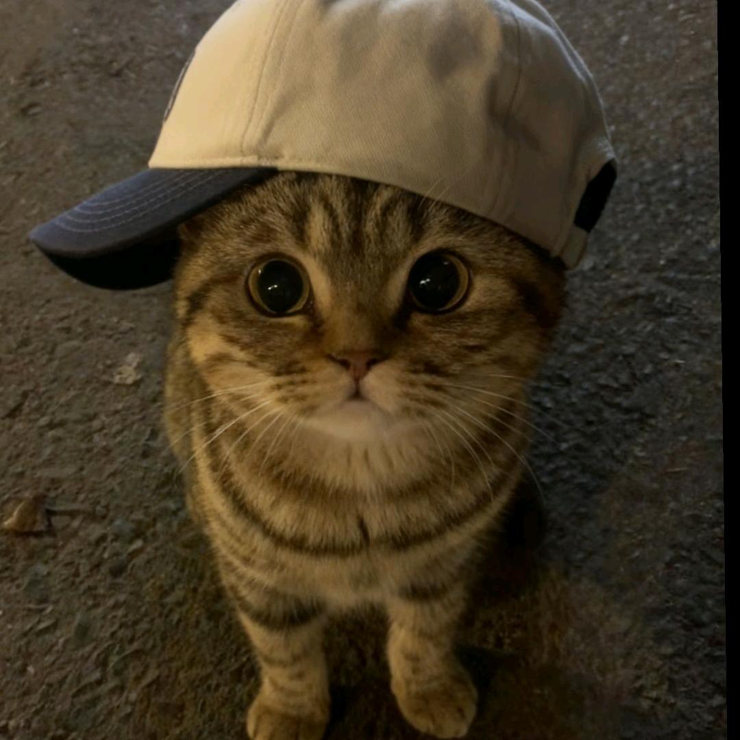 A不想洗头