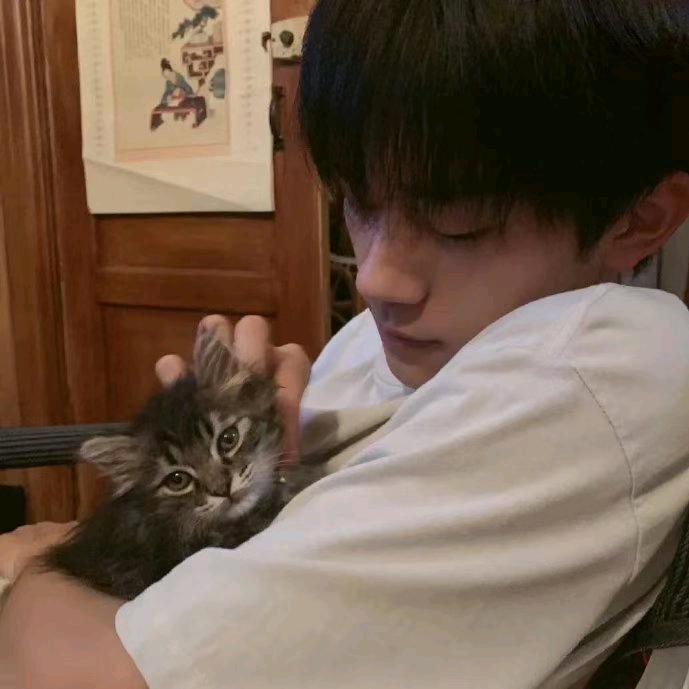 风，在等待自由